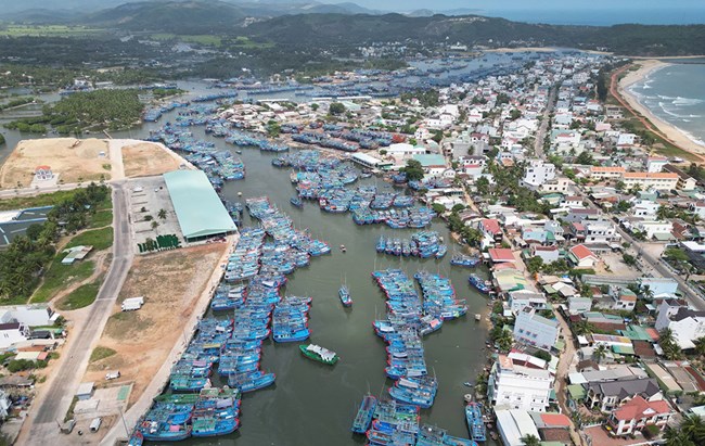 Loạt bài: Vì nghề cá bền vững và hội nhập Bài 2: Số hóa và cấu trúc lại nghề cá  (26/12/2025)